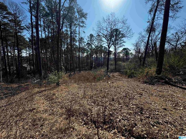 250 TWIN LAWN DRIVE, Birmingham, AL 35217