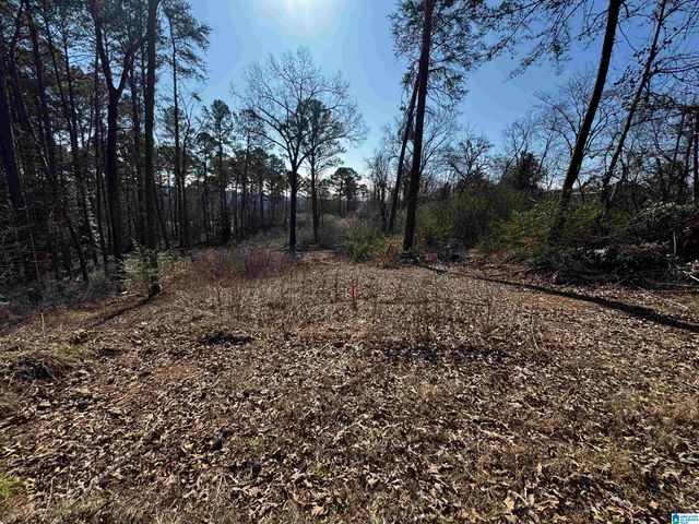 250 TWIN LAWN DRIVE, Birmingham, AL 35217