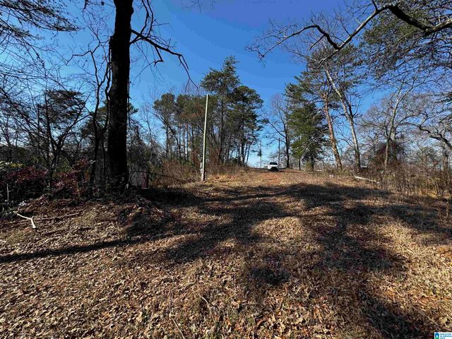 250 TWIN LAWN DRIVE, Birmingham, AL 35217