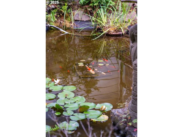 402 SKELTON Rd, Stevenson, WA 98648