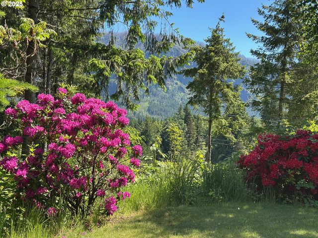 402 SKELTON Rd, Stevenson, WA 98648