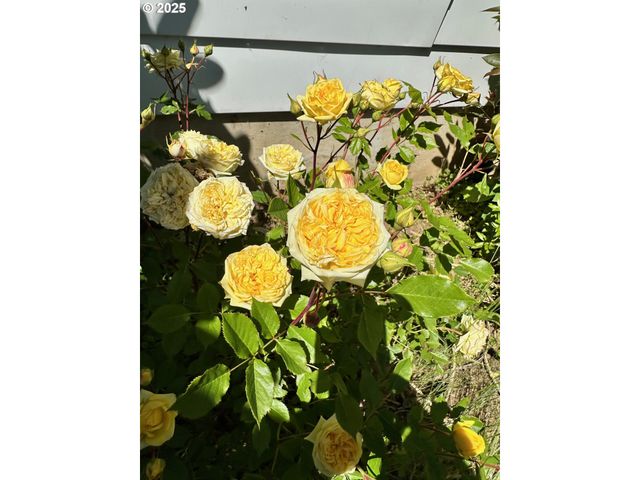 402 SKELTON Rd, Stevenson, WA 98648