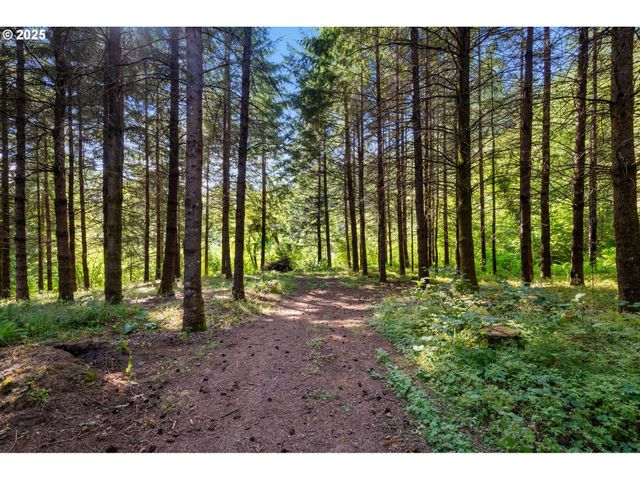 402 SKELTON Rd, Stevenson, WA 98648