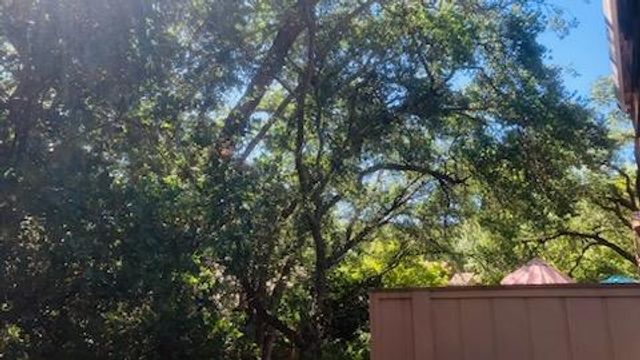 7440 W Black Tree Ln, Citrus Heights, CA 95610