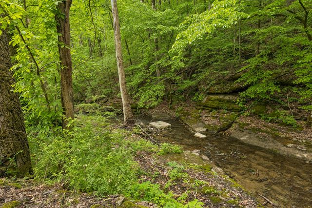 831 Defeated Creek Rd, Centerville, TN 37033