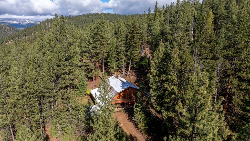 23600 W Fork Bear Creek Road, Potomac, MT 59823 photo 4