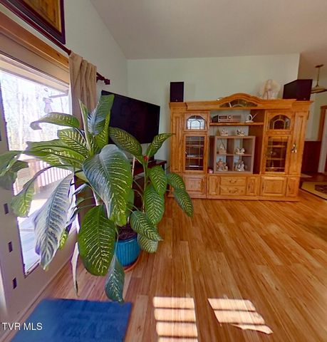 3693 Sane Road, Parrottsville, TN 37843