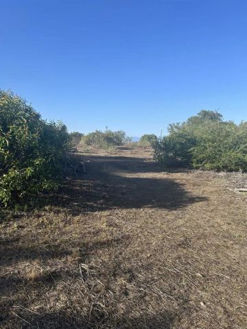 High Mountain Ln, Escondido, CA 92026