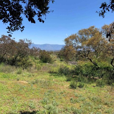 High Mountain Ln, Escondido, CA 92026