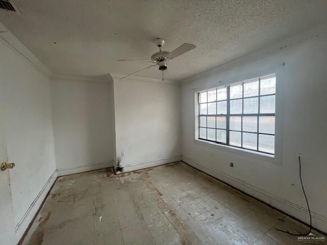 50 Willow Avenue, Roma, TX 78584