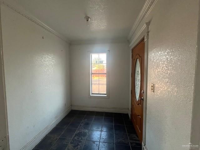 50 Willow Avenue, Roma, TX 78584