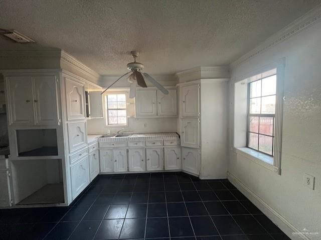 50 Willow Avenue, Roma, TX 78584