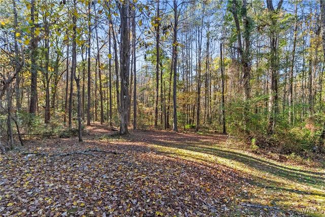 14110 Mary, Coker, AL 35452