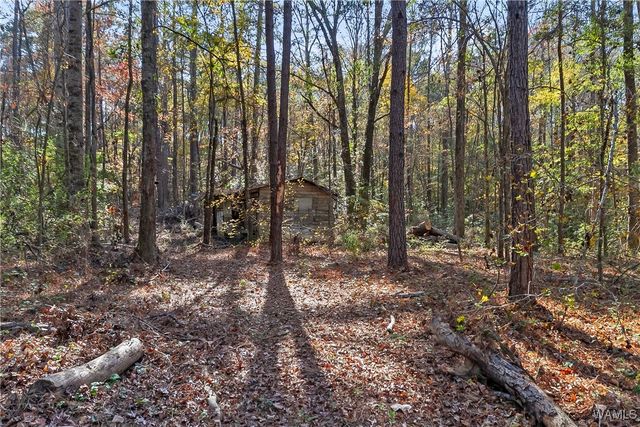 14110 Mary, Coker, AL 35452