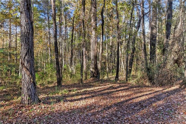 14110 Mary, Coker, AL 35452