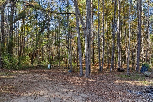 14110 Mary, Coker, AL 35452