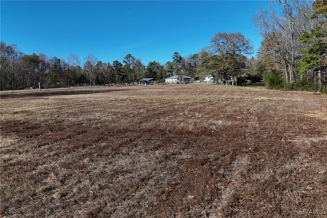 14365 Wire Rd, Coaling, AL 35453