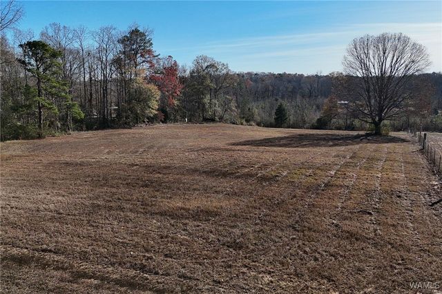 14365 Wire Rd, Coaling, AL 35453