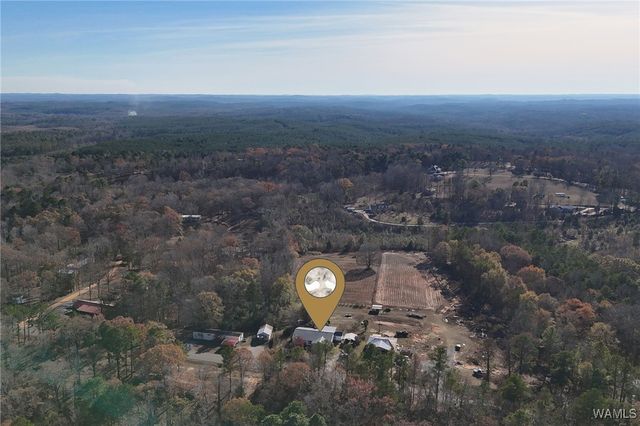 14365 Wire Rd, Coaling, AL 35453