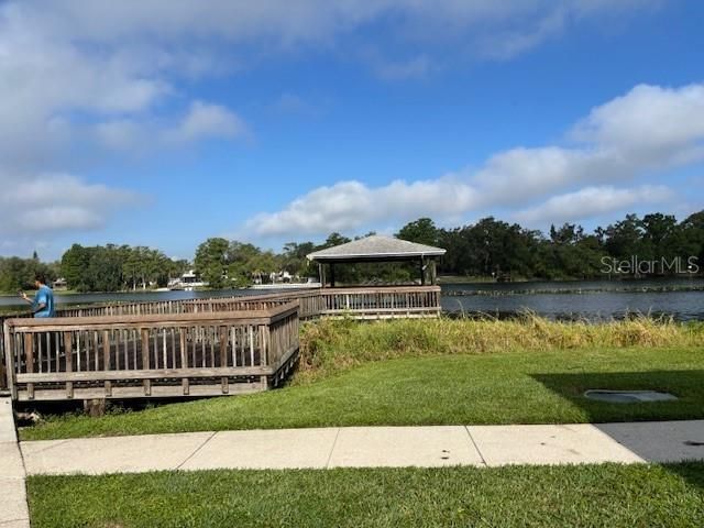 4127 DOLPHIN DRIVE 4127, Tampa, FL 33617