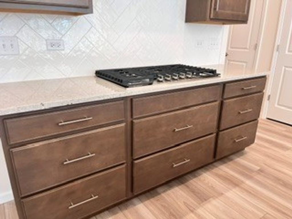 729 Dropseed Lane 75002, Bolingbrook, IL 60490 — photo 3
