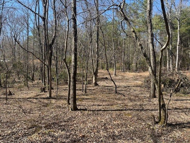 Lot 16 Bravo Way, Talking Rock, GA 30175
