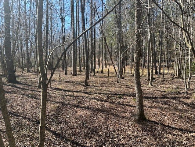 Lot 16 Bravo Way, Talking Rock, GA 30175