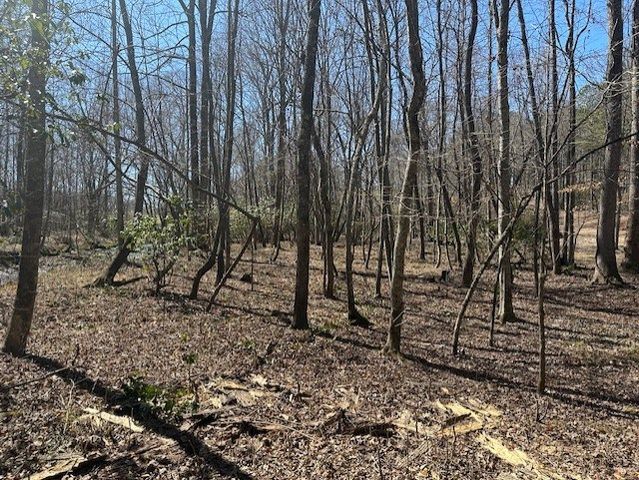 Lot 16 Bravo Way, Talking Rock, GA 30175