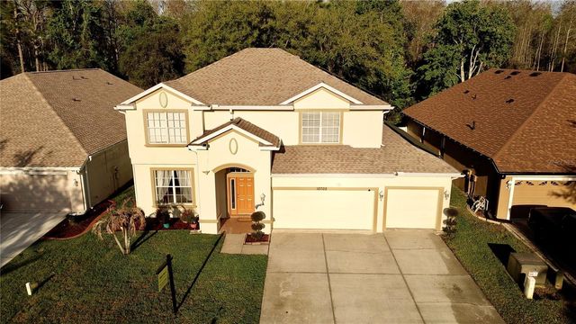 10702 DEERBERRY DRIVE, Land O Lakes, FL 34638