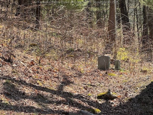 0 Blue Creek Road, Elkview, WV 25071