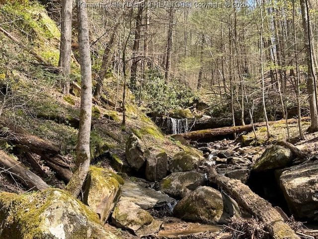 0 Blue Creek Road, Elkview, WV 25071