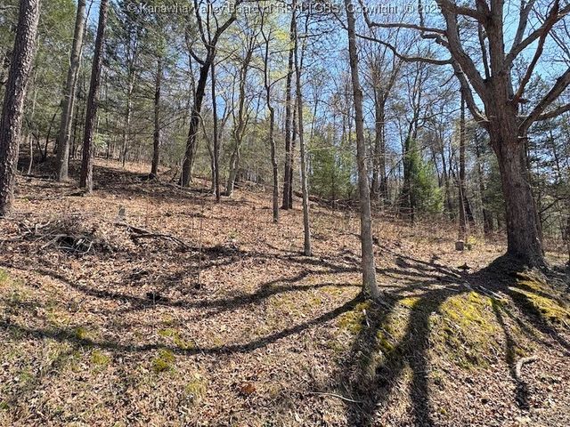 0 Blue Creek Road, Elkview, WV 25071