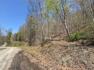 0 Blue Creek Road, Elkview, WV 25071