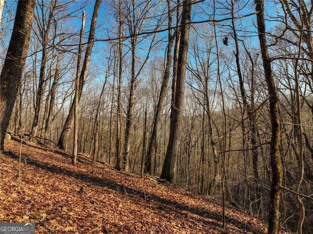 LOT 10 Mount Mincie Road, Murrayville, GA 30564