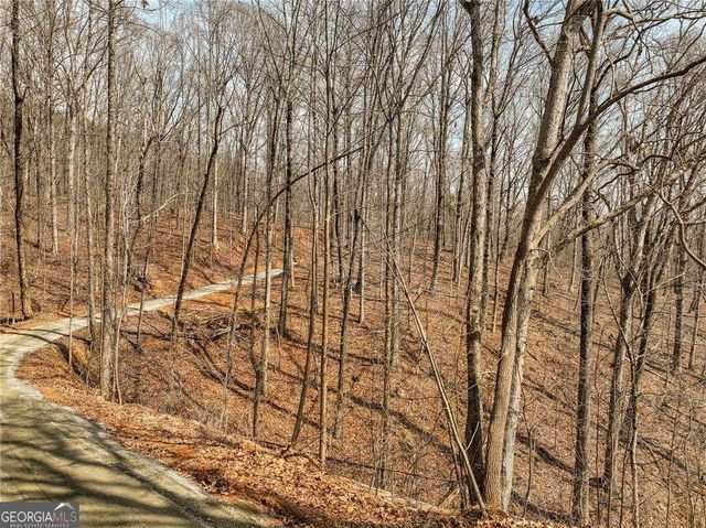 LOT 10 Mount Mincie Road, Murrayville, GA 30564