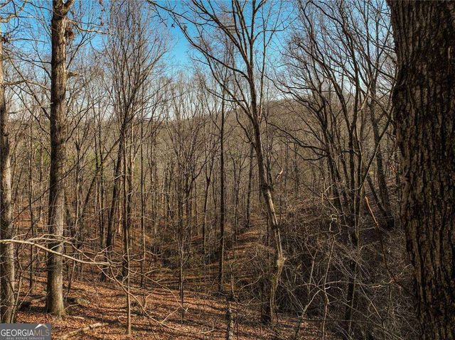 LOT 10 Mount Mincie Road, Murrayville, GA 30564