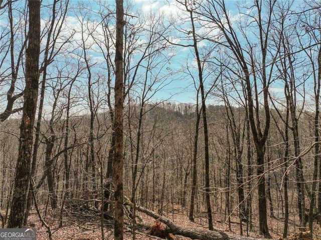 LOT 10 Mount Mincie Road, Murrayville, GA 30564
