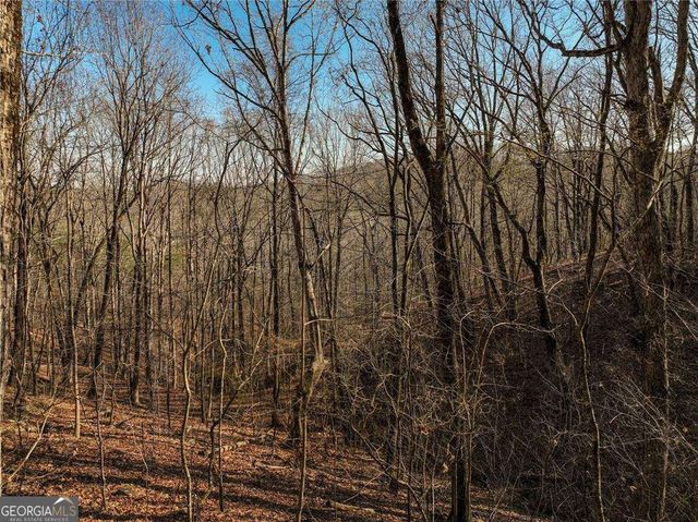 LOT 10 Mount Mincie Road, Murrayville, GA 30564
