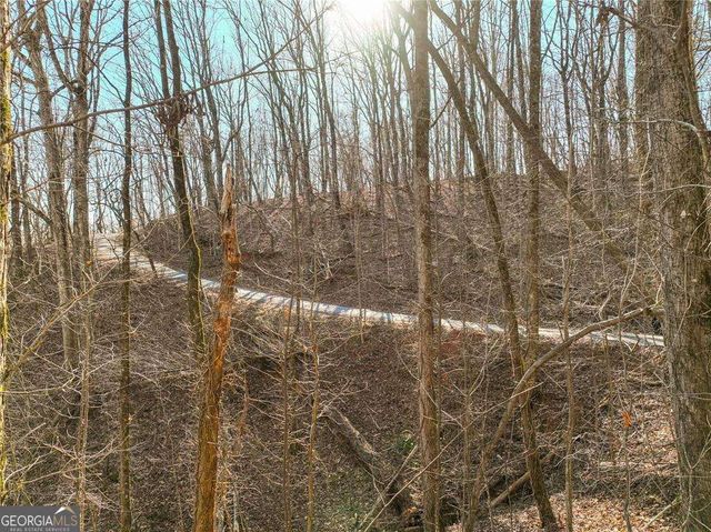 LOT 10 Mount Mincie Road, Murrayville, GA 30564