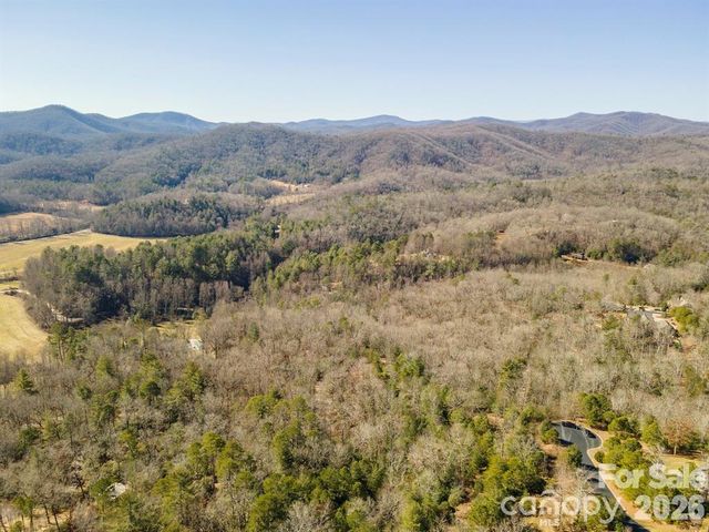 9999 Woodhen Way 138 & 139, Horse Shoe, NC 28742