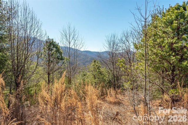 9999 Woodhen Way 138 & 139, Horse Shoe, NC 28742