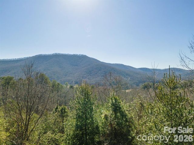 9999 Woodhen Way 138 & 139, Horse Shoe, NC 28742