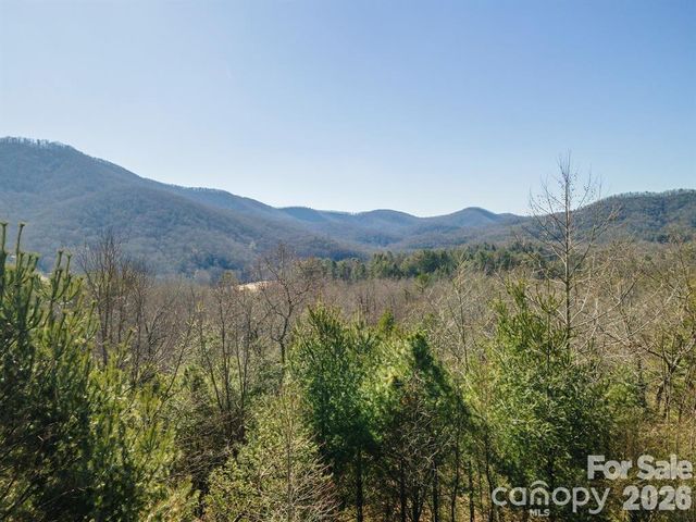 9999 Woodhen Way 138 & 139, Horse Shoe, NC 28742