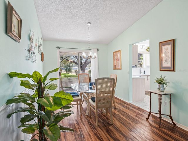 304 SAN MARINO DRIVE, The Villages, FL 32159