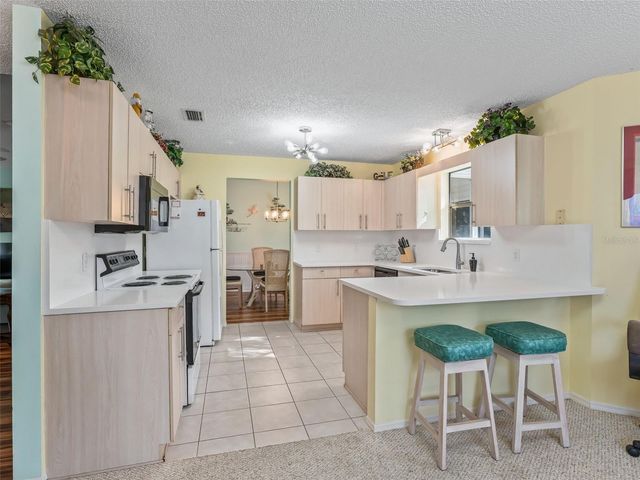 304 SAN MARINO DRIVE, The Villages, FL 32159