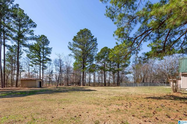 7916 COUNTY ROAD 31, Ashville, AL 35953