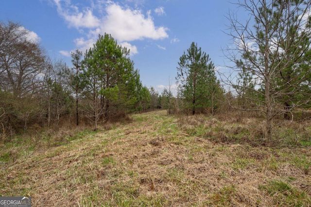 TRACT 1-B High Shoals Road, Bishop, GA 30621