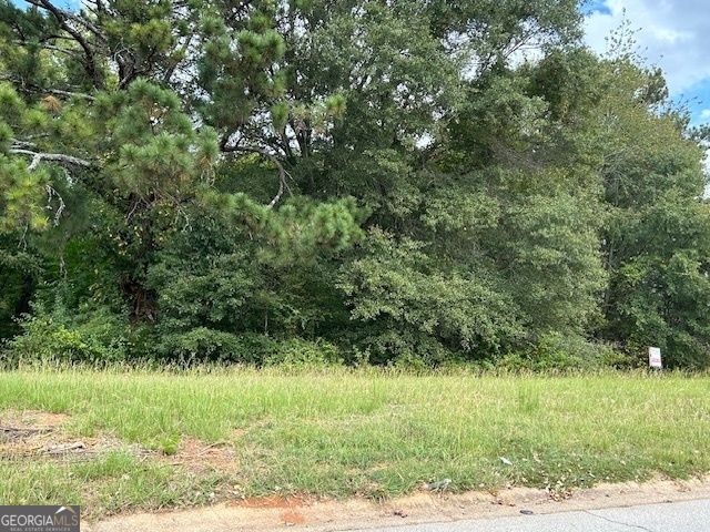 109 Burleyson Drive, Mcdonough, GA 30253