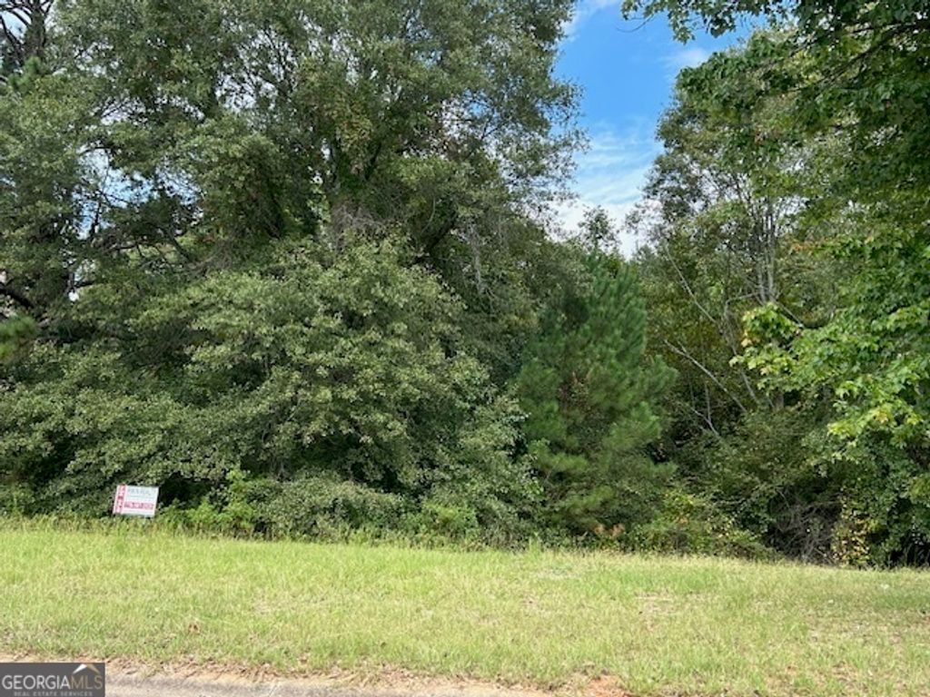 109 Burleyson Drive, Mcdonough, GA 30253