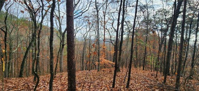 561 Parable Court, Ranger, GA 30734